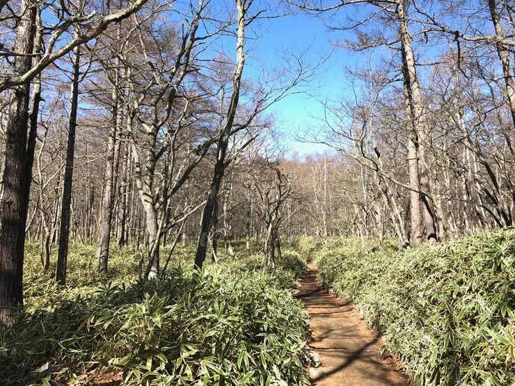 Sendero-Senjōgahara