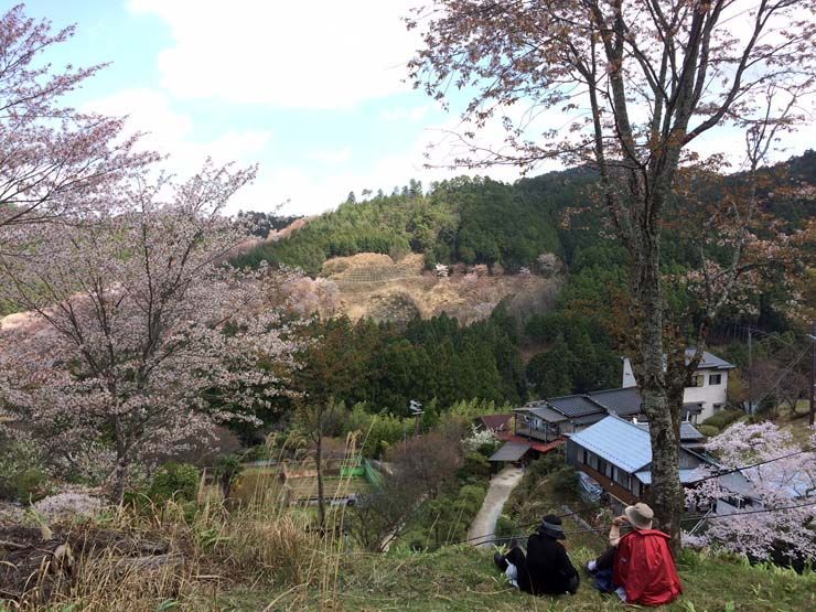 Hanami en Yoshinoyama Japon Hanami en Yoshinoyama Japon