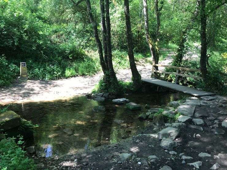 Camino-Frances-Sarria-a-Rente