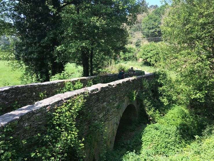Camino-Francesc-Puente-da-Aspera-Sarria