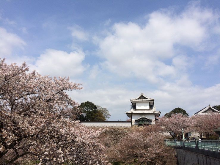Kanazawa-Castillo-hanami