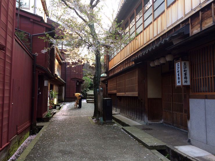 Kanazawa-Higahi-Chaya