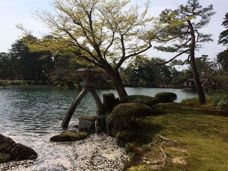Kanazawa-Kenrokuen-Hanami-1