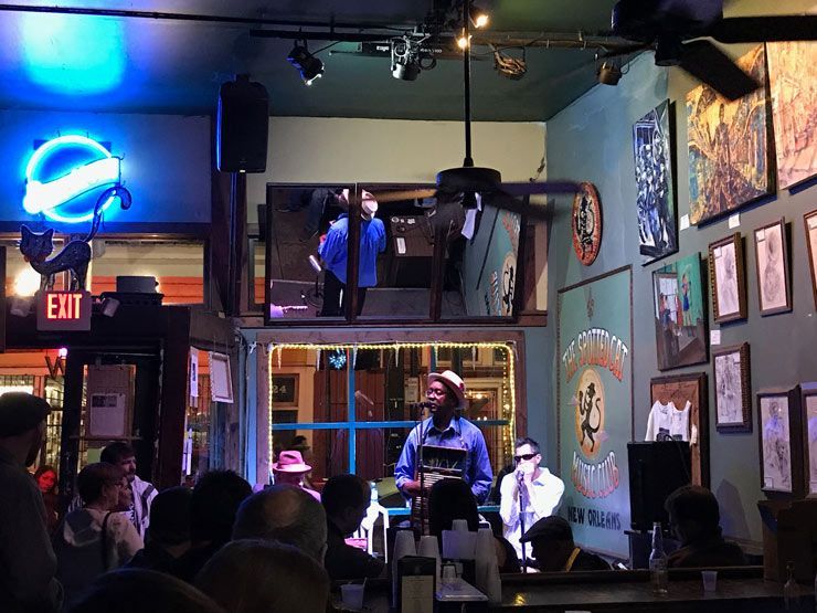 New-Orleans-The-Spoted-Cat