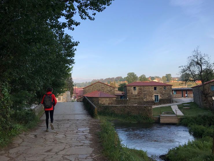 Camino-Frances-Castañeda-a-Salceda