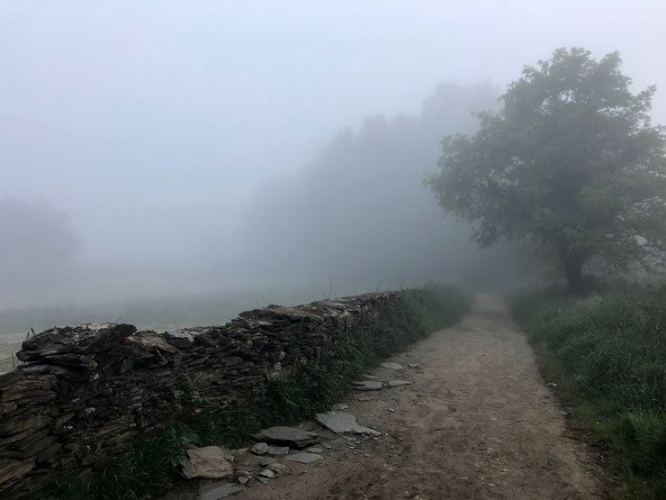 Camino-Frances-Gonzar-a-Palas-de-Rey