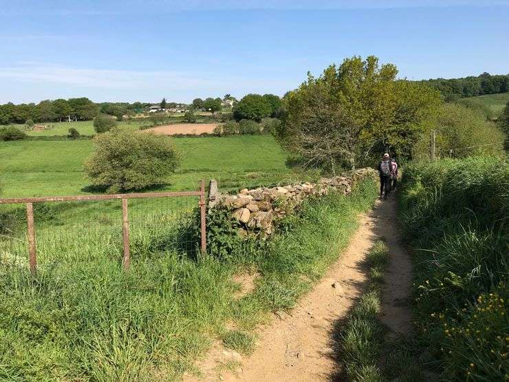 Camino-Frances-Gonzar-a-Palas-de-Rey