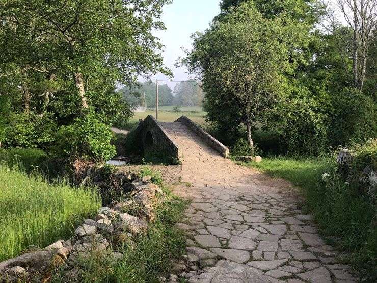 Camino-Francesc-Palas-a-Castañeda