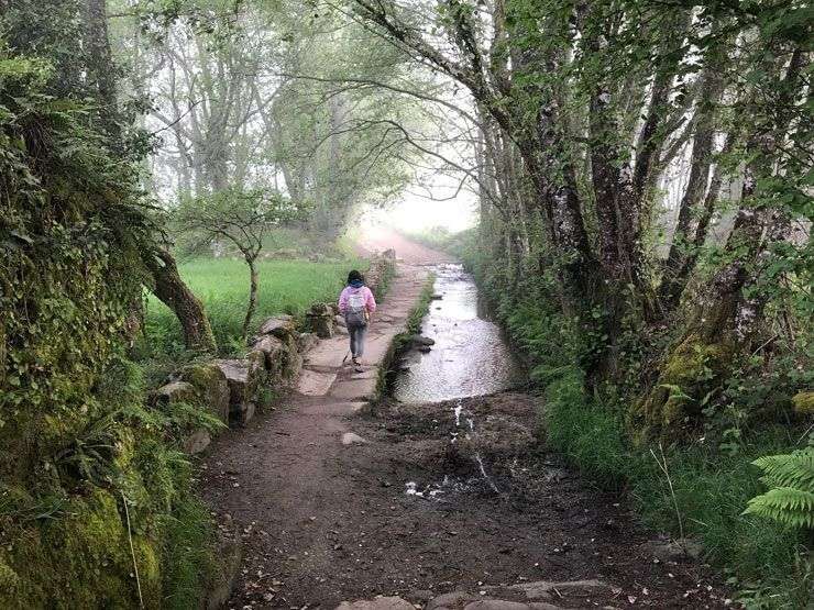 Camino-Santiago-Frances-rente-a-Gonzar1
