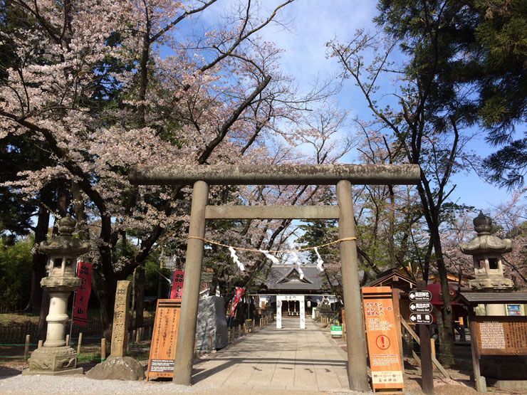 Castillo-de-Ueda-Nagano