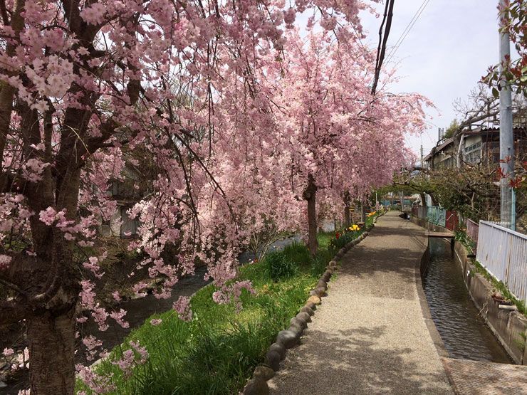 Castillo-de-Ueda-Nagano