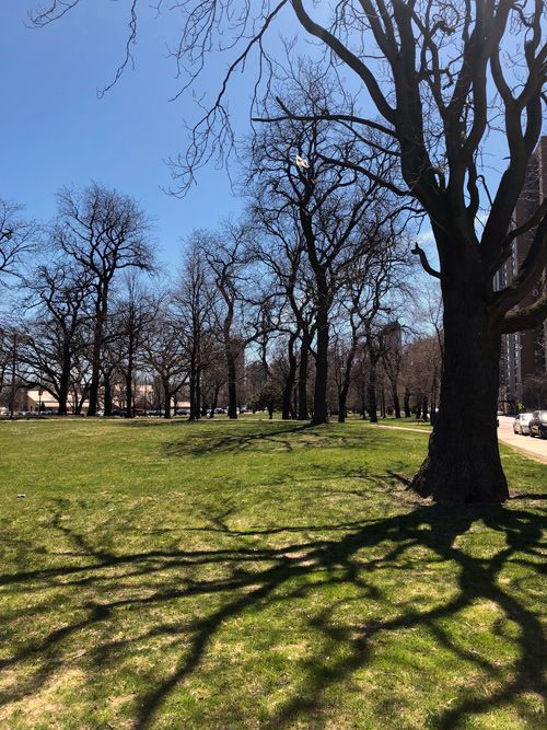 Lincoln-Park-Chicago