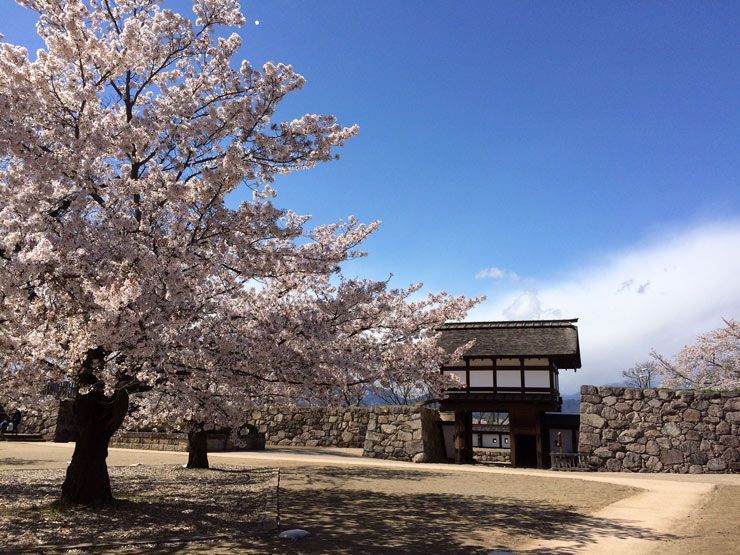 castillo-de-Matsushiro-Nagano