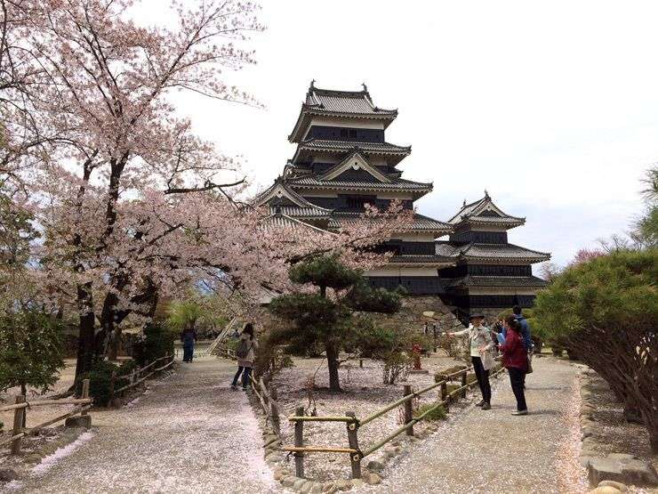 Matsumoto-castillo-hanami