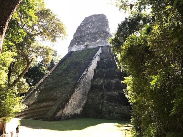 Torre-V-Tikal-Guatemala