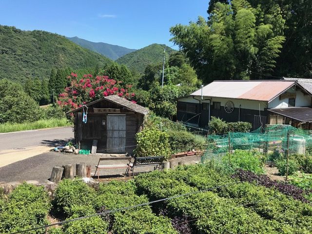 Kumano kodo Nakahechi