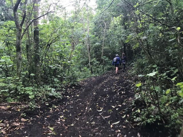 Excursion Volcan Pacaya 