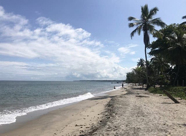 Playa de Palomino, junto al parque nacional Tayrona. Playa de Palomino, junto al parque nacional Tayrona.